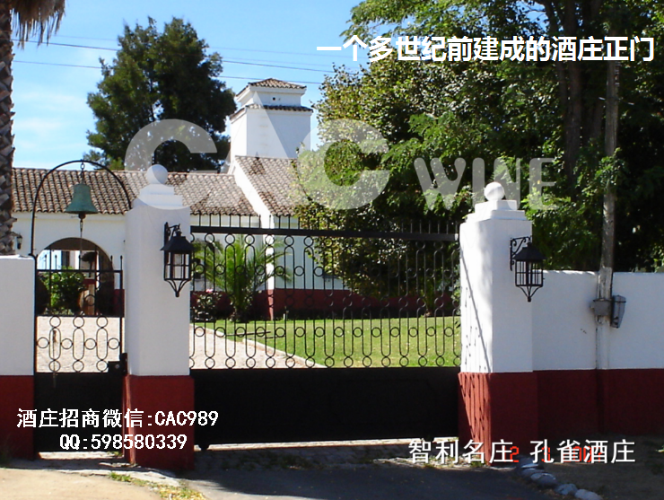 孔雀有联P图片39-016215.png